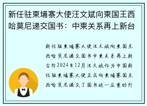 新任驻柬埔寨大使汪文斌向柬国王西哈莫尼递交国书：中柬关系再上新台阶