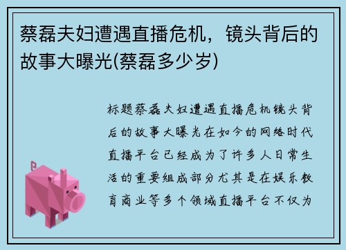 蔡磊夫妇遭遇直播危机，镜头背后的故事大曝光(蔡磊多少岁)