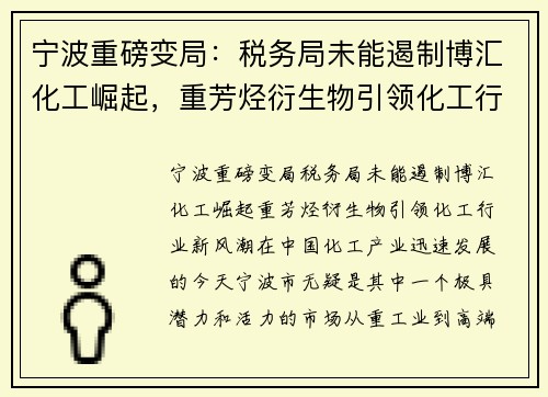 宁波重磅变局：税务局未能遏制博汇化工崛起，重芳烃衍生物引领化工行业新风潮