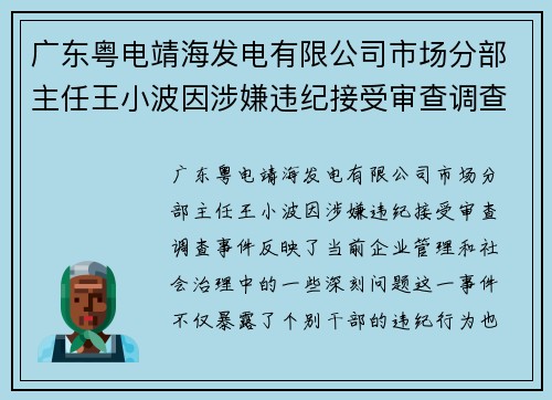 广东粤电靖海发电有限公司市场分部主任王小波因涉嫌违纪接受审查调查