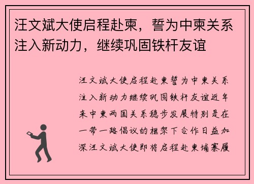 汪文斌大使启程赴柬，誓为中柬关系注入新动力，继续巩固铁杆友谊