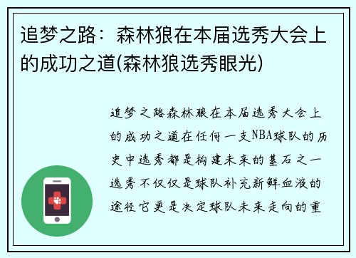 追梦之路：森林狼在本届选秀大会上的成功之道(森林狼选秀眼光)