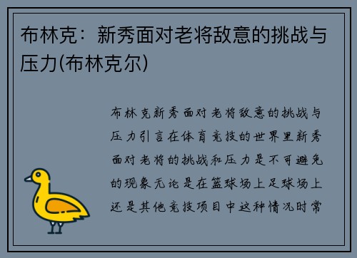 布林克：新秀面对老将敌意的挑战与压力(布林克尔)