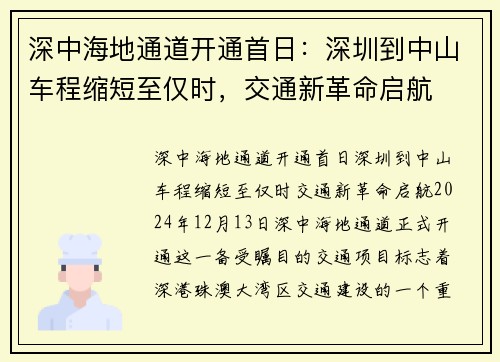 深中海地通道开通首日：深圳到中山车程缩短至仅时，交通新革命启航
