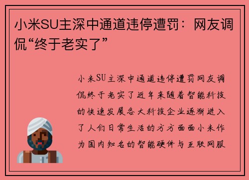 小米SU主深中通道违停遭罚：网友调侃“终于老实了”